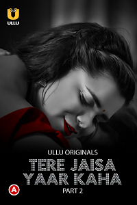 Download [18+] Tere Jaisa Yaar Kaha (2023) S01 Part 2 Hindi ULLU Originals Complete WEB Series 480p | 720p | 1080p WEB-DL